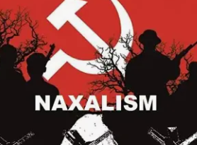 Naxlism